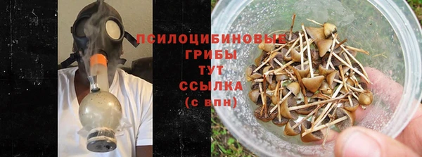 ешки Новозыбков